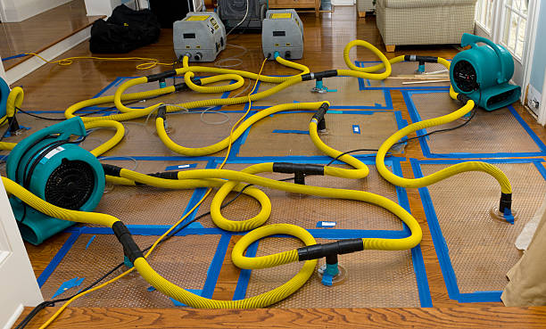 Professional Storm Water Damage Restoration technician working in Kasota, MN